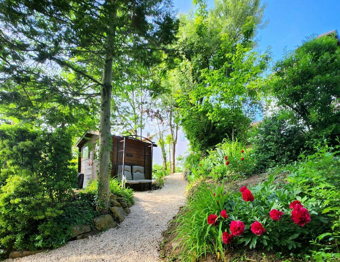 Gardenview Apartments & Suites Bei Bad Kissingen Nüdlingen エクステリア 写真