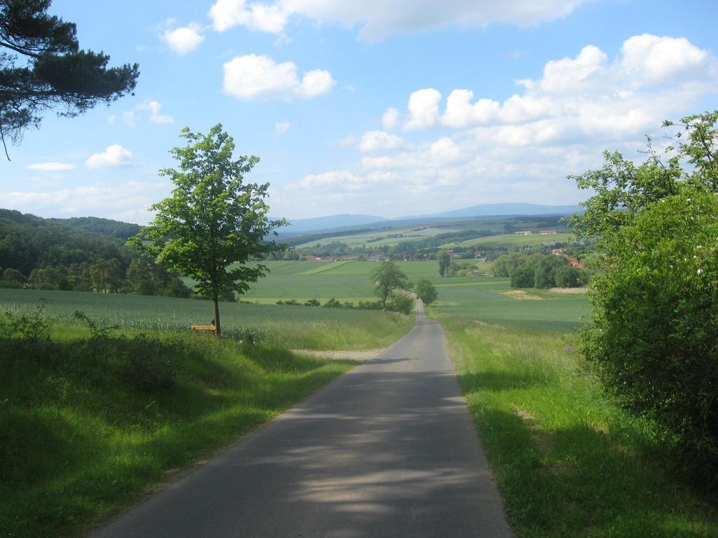 Gardenview Apartments & Suites Bei Bad Kissingen Nüdlingen エクステリア 写真